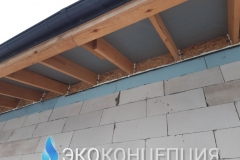 InShot_20210504_1329260311