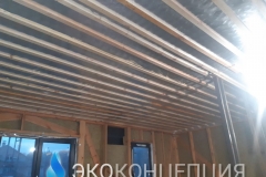 InShot_20210504_1344268381