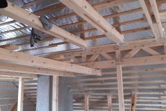 InShot_20210504_1349159031