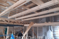 InShot_20210504_1351155231