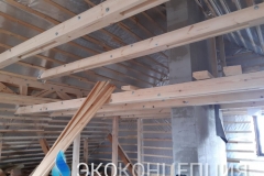 InShot_20210504_1353256091