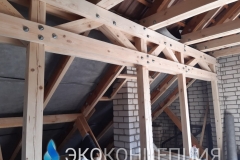 InShot_20210504_1354481301