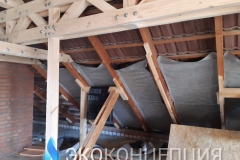 InShot_20210504_1357090681