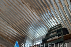 InShot_20210504_1402055481