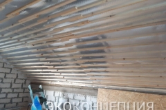 InShot_20210504_1403144241