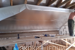 InShot_20210504_1404381861