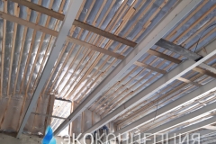 InShot_20210504_1413160551