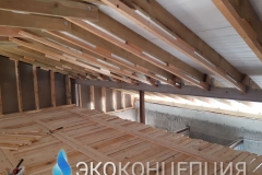 InShot_20210504_1418250061