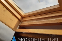 InShot_20210504_1428259101