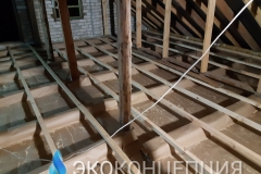 InShot_20210504_1429580041