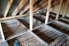 InShot_20210504_1431375101