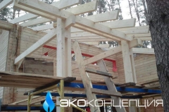 Эковата - фото